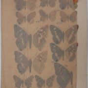 Roger metaye : papillons marrons et violets, aquarelle originale signée