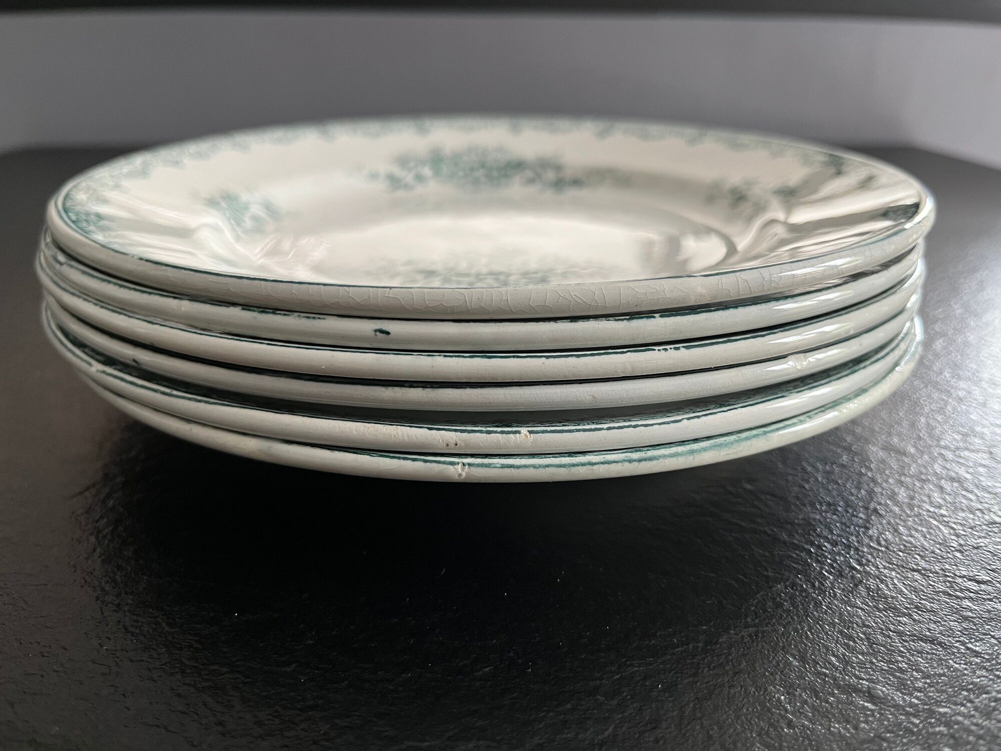 Lot 6 old plates porcelain iron earth saint amandinoise model chevreuse