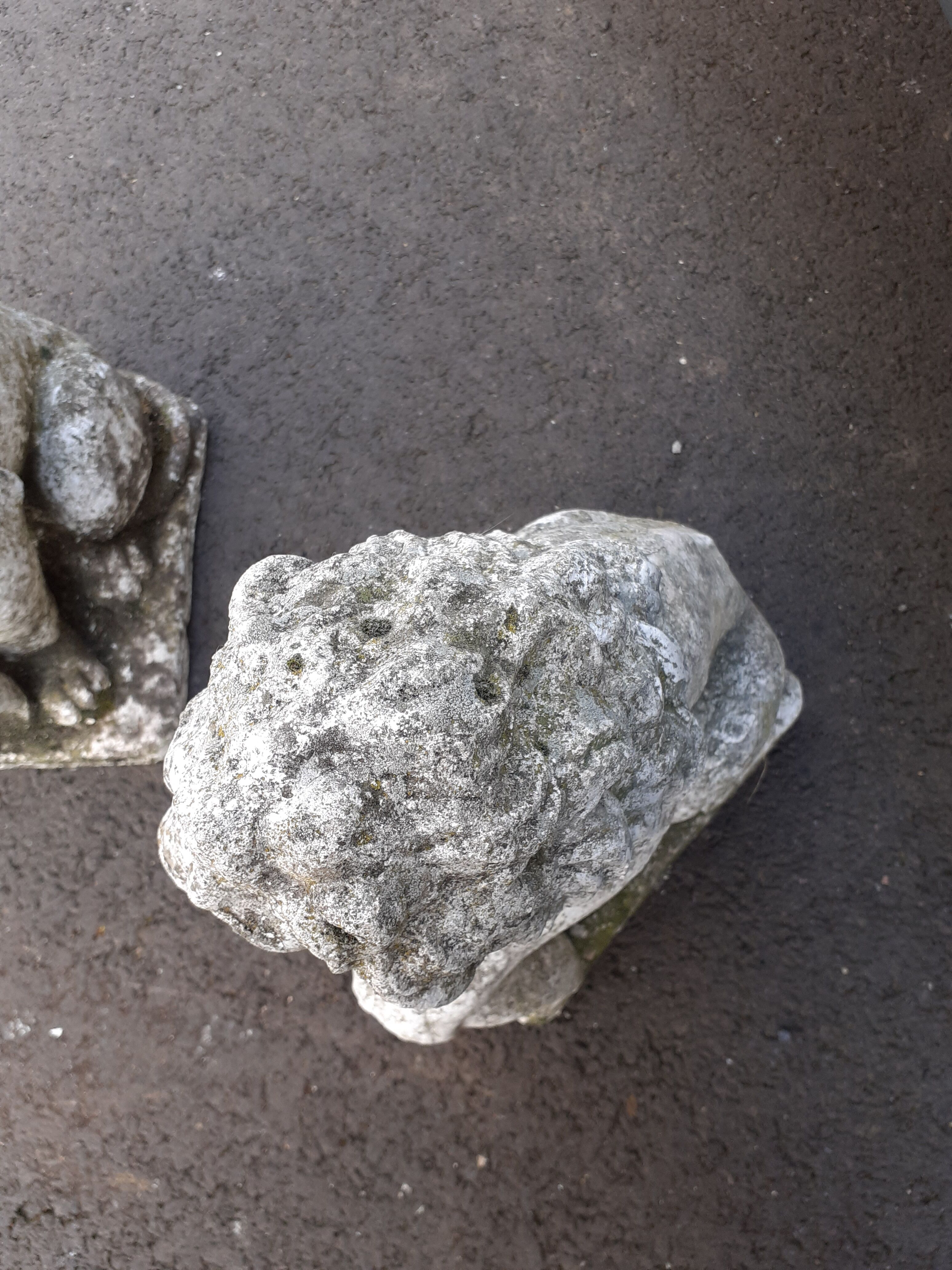 Vintage stone garden lions xxeme