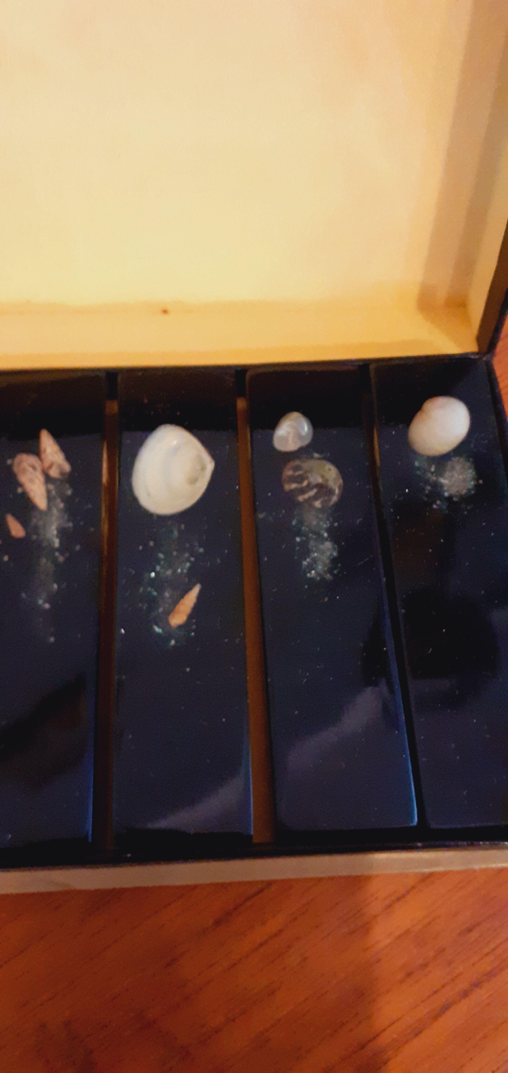 6 vintage resin knife holder with shell inclusion 1960