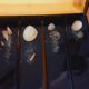6 vintage resin knife holder with shell inclusion 1960