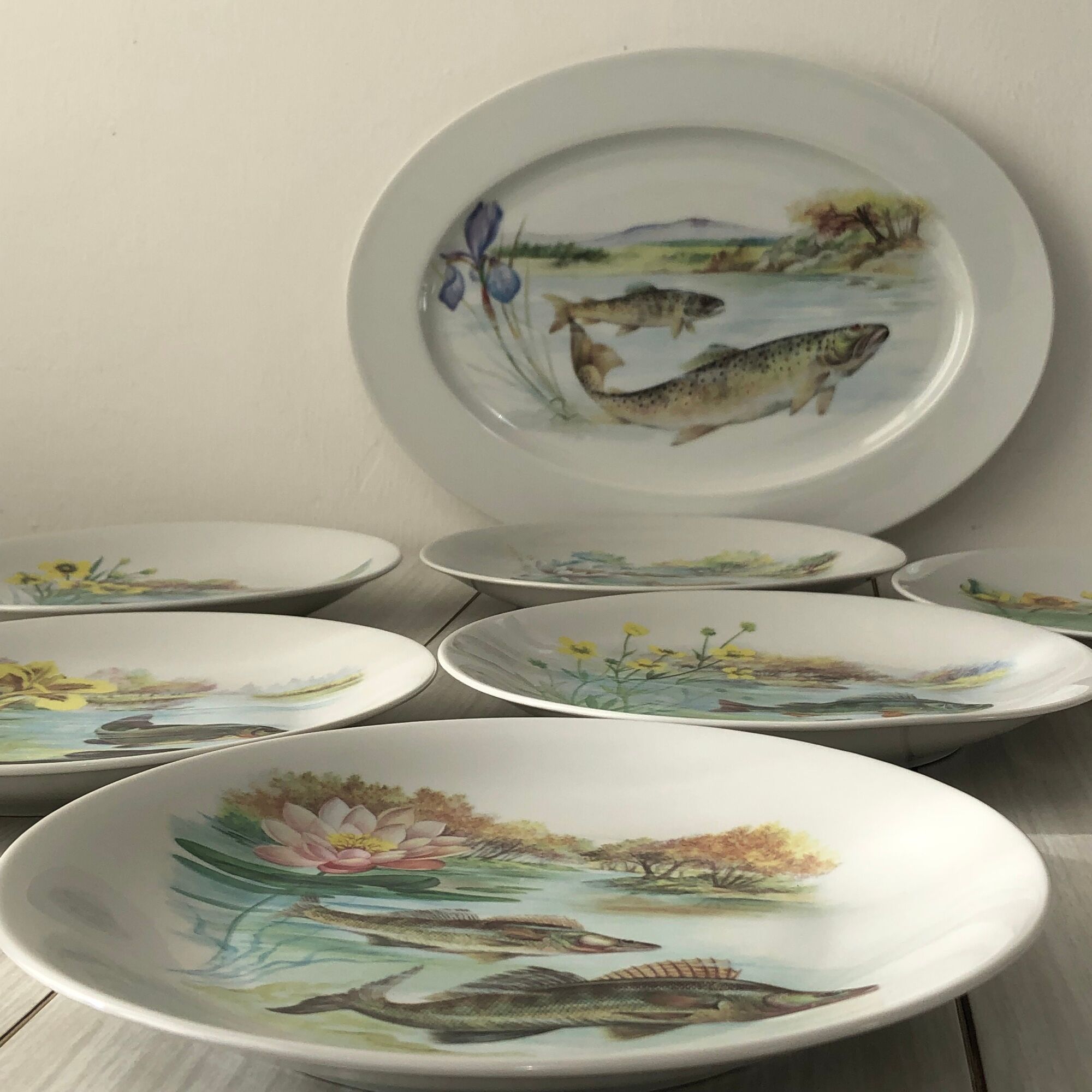 6 plates and 1 fish dish in Limoges porcelain. Freshwater Fish Patterns Service