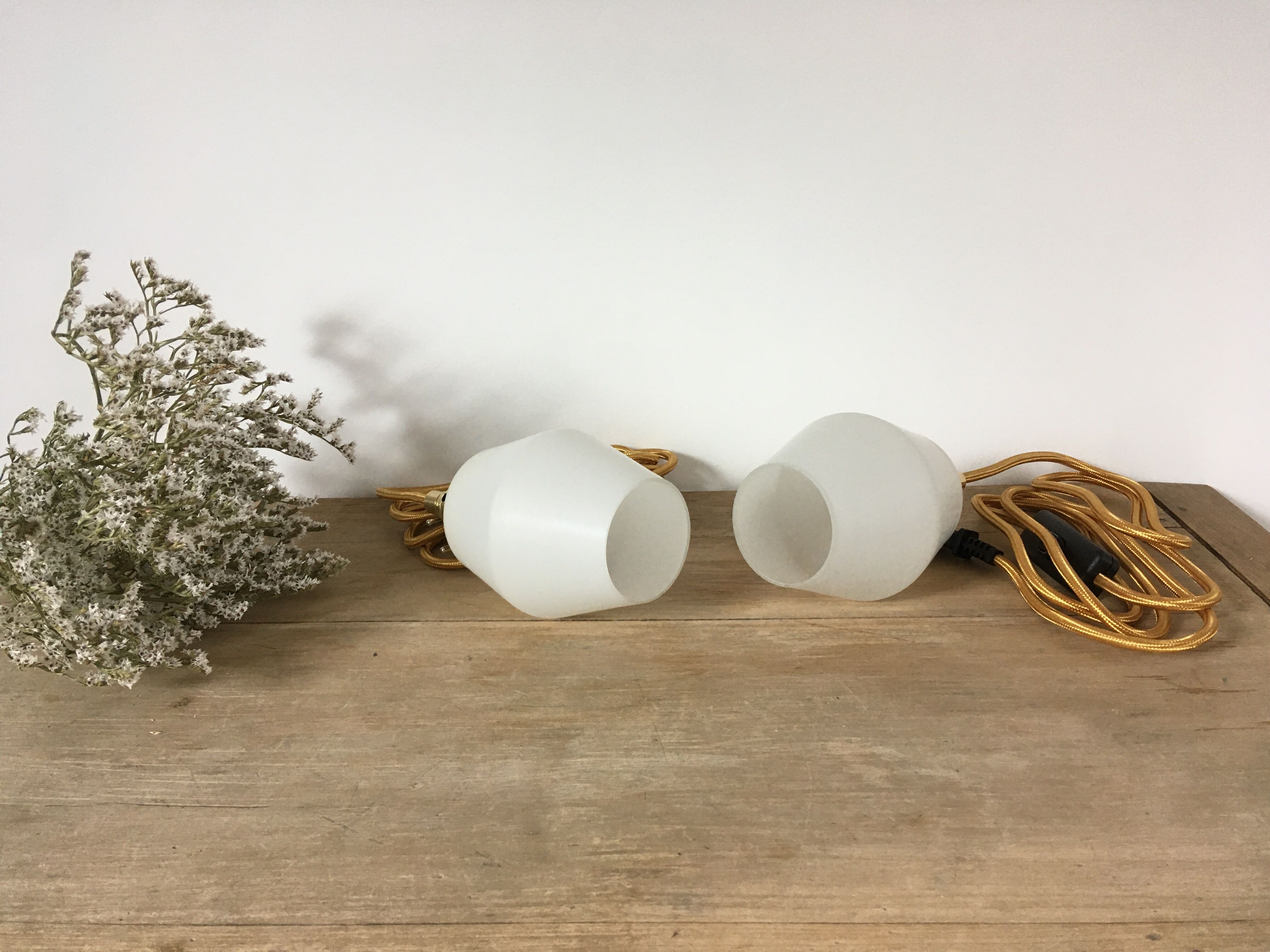 Paire de lampes baladeuses en verre dépoli