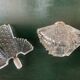 Art Deco perfume bottle in bohemian crystal engraved 1930