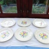 6 old flat plates