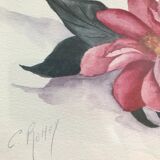 Original and signed botanical watercolor