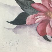 Aquarelle botanique originale et signée