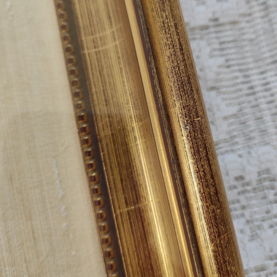 Butterfly taxidermy frame