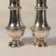 Set of two silver metal sprinklers