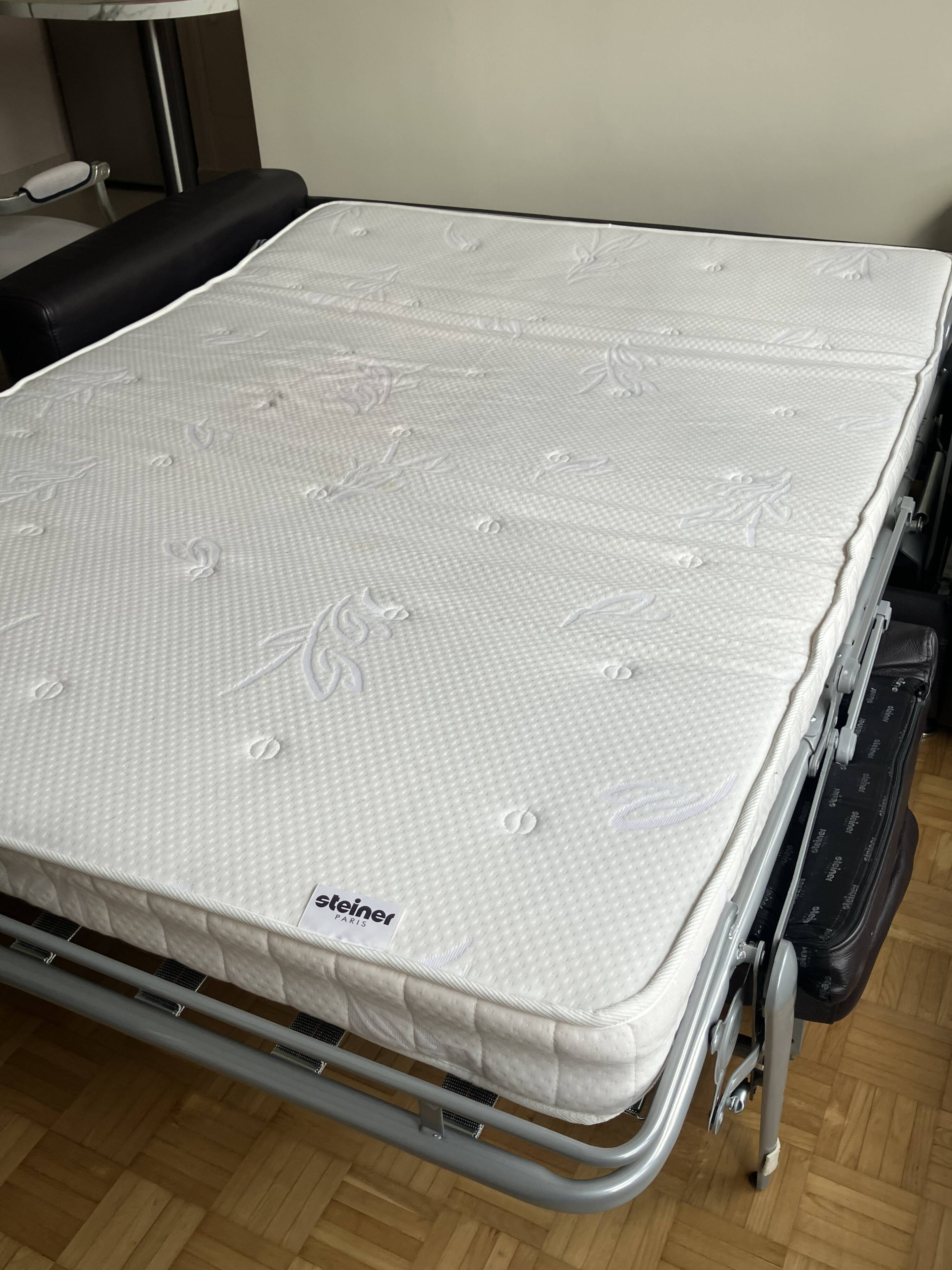Seiner convertible sofa bed