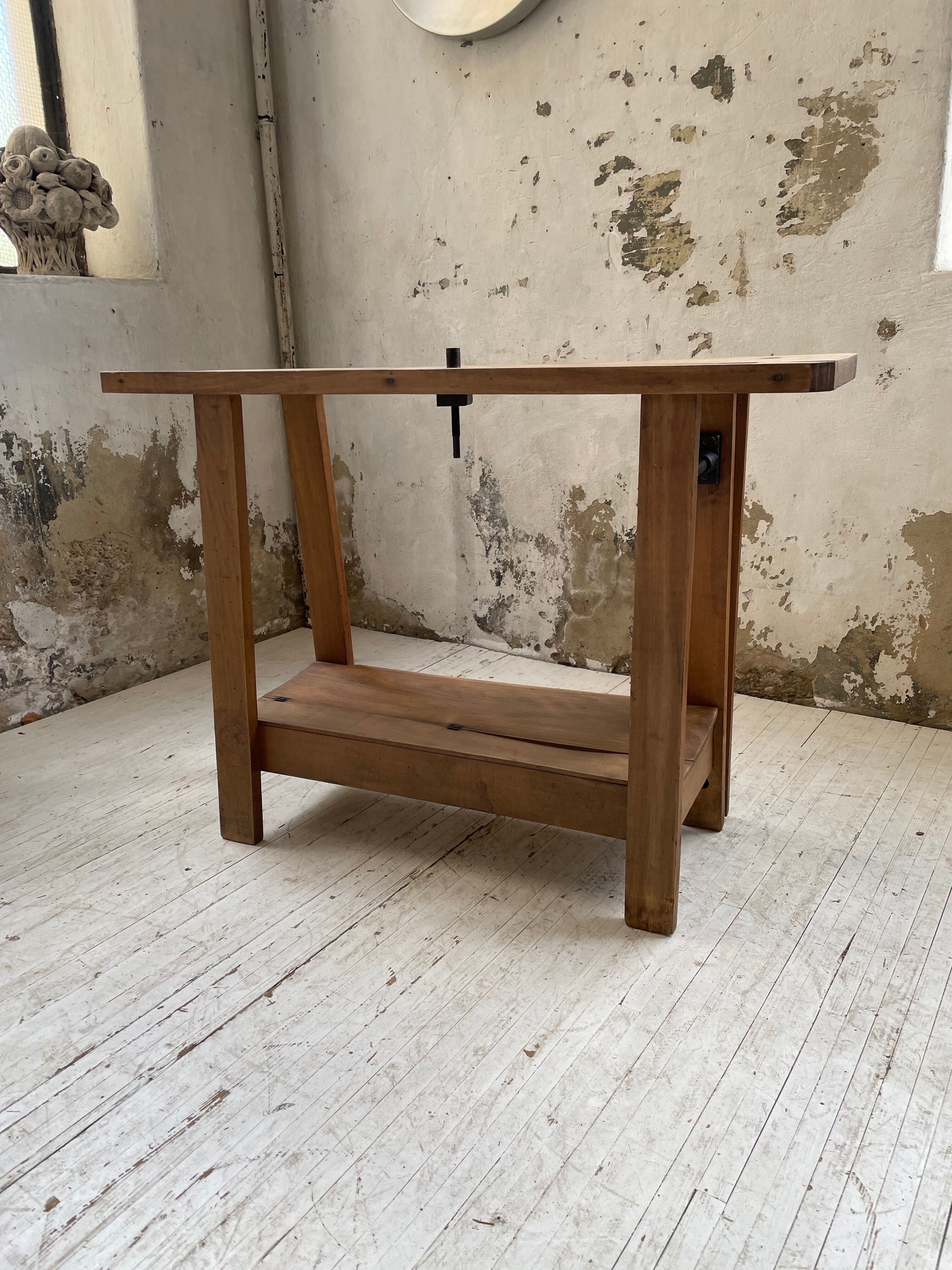 Established XS in cherry tree