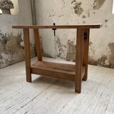 Established XS in cherry tree