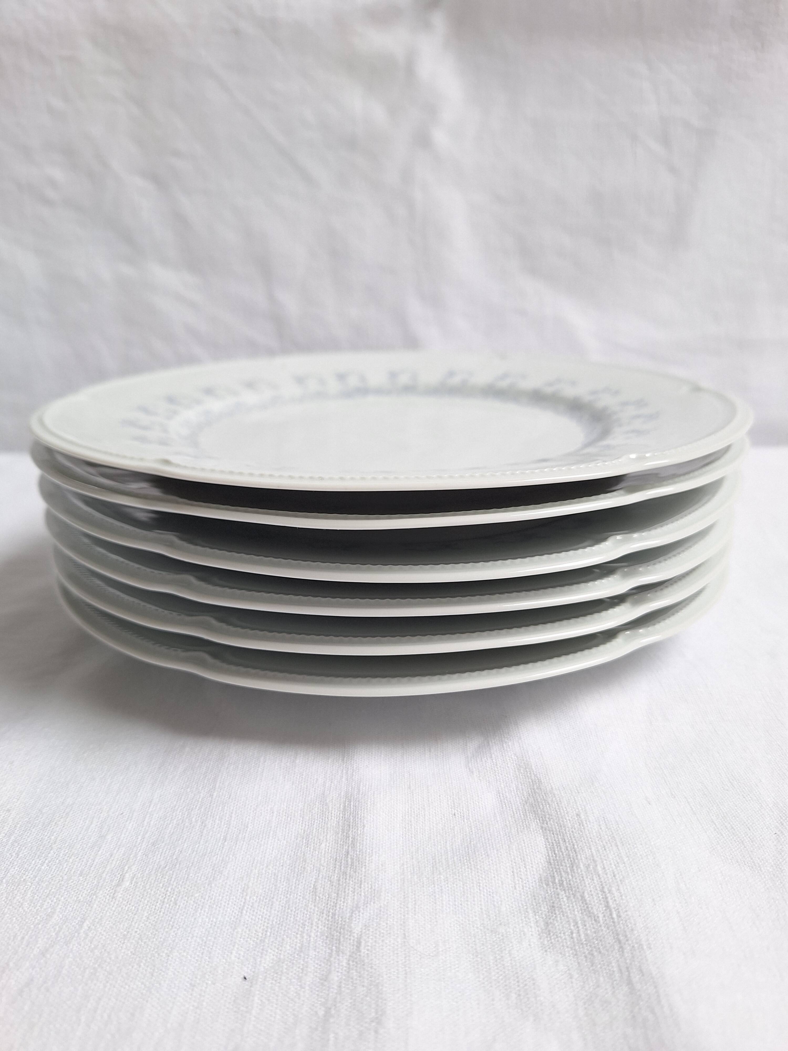 Limoges porcelain flat plates