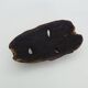 Old African Kumu mask DRC Congo Africa AFRICAN TRIBAL Art. 1930s 40s