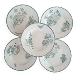 5 Saint Amand Cartels plates