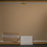 Lithograph camille hilaire bouquet of flowers 121 of 175 certificate