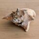 Conch Marine shell - Strombus alatus 26 cm 1.6 kg