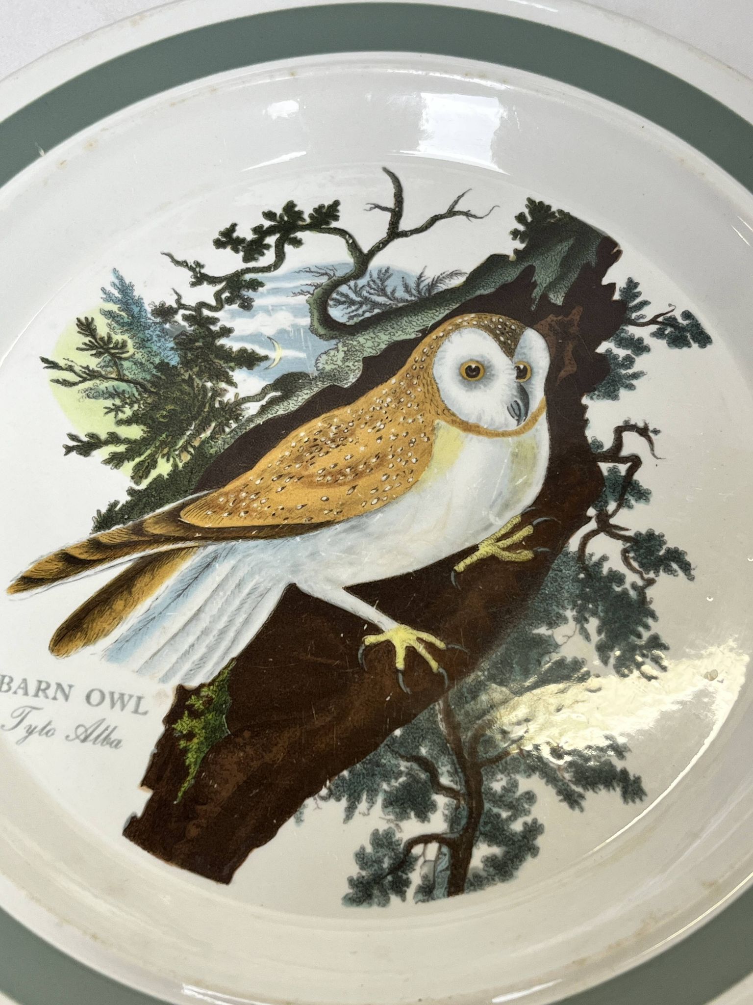 Portmeirion, English porcelain plate with owl decoration, 20th century