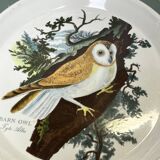 Portmeirion, English porcelain plate with owl decoration, 20th century