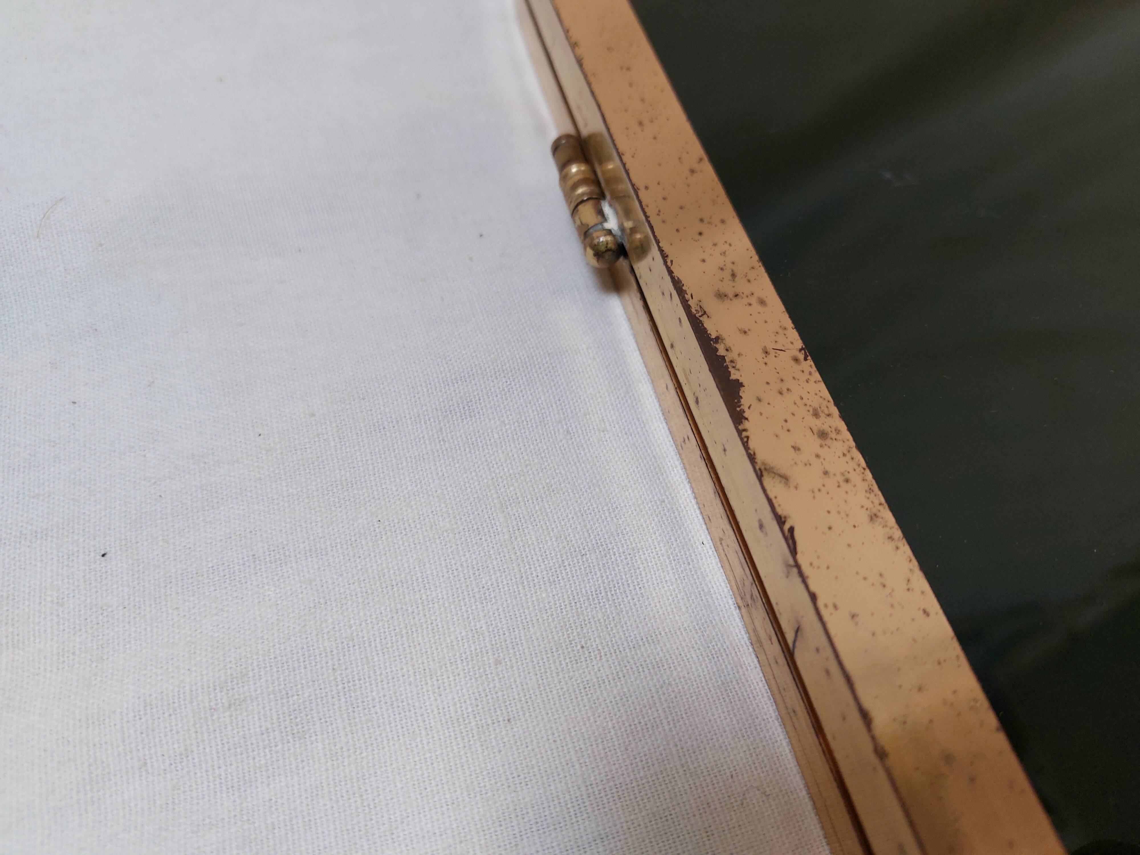 Vintage fireplace screen in smoked glass and gold-tone metal