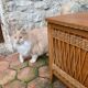 Vintage antique chest