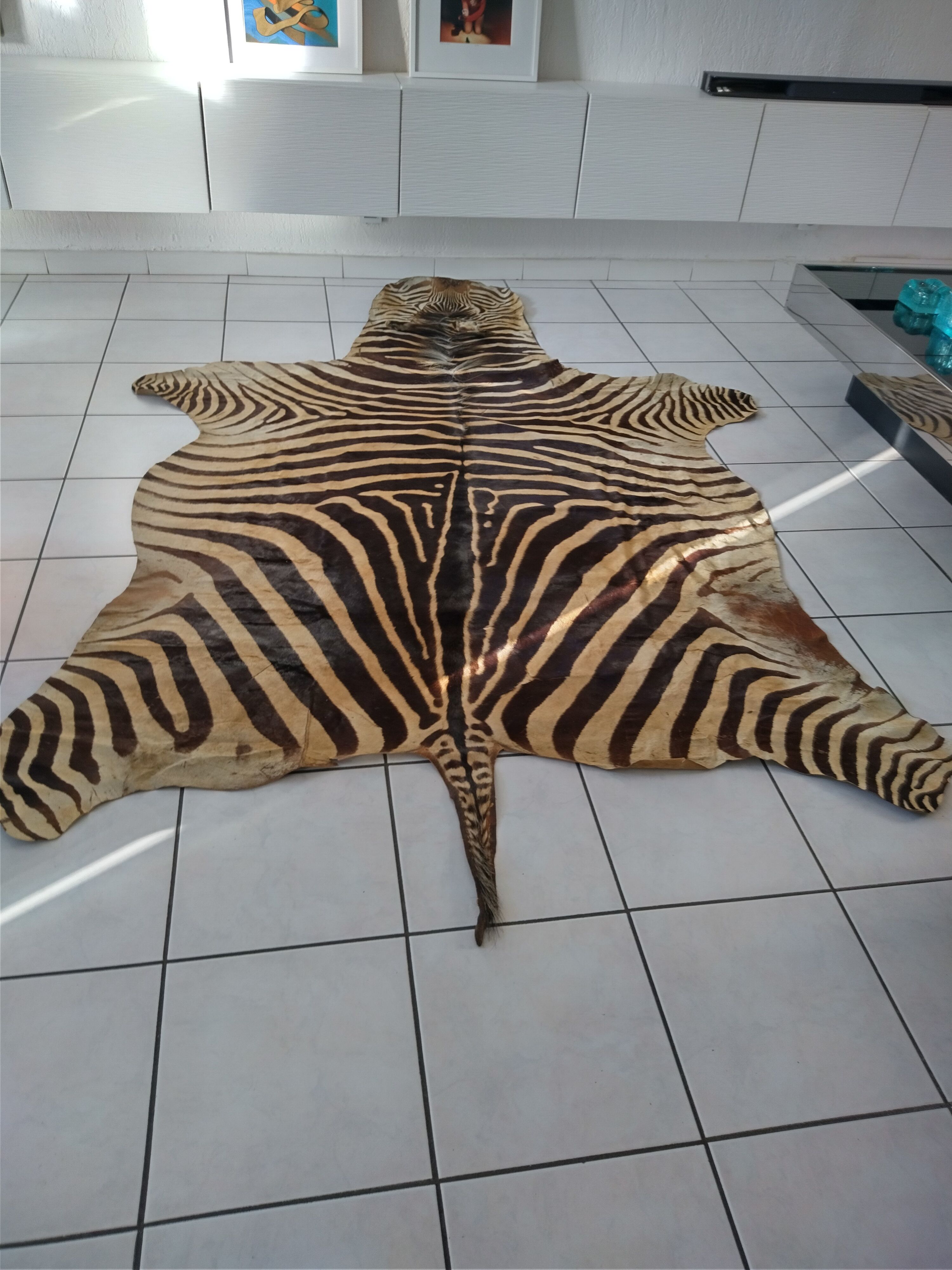 Zebra skin