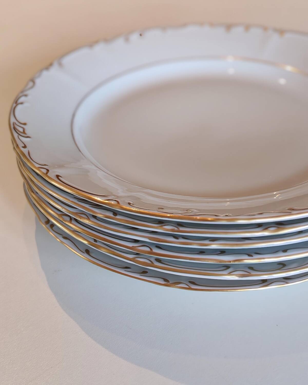 Porcelain dinner plates
