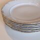Porcelain dinner plates