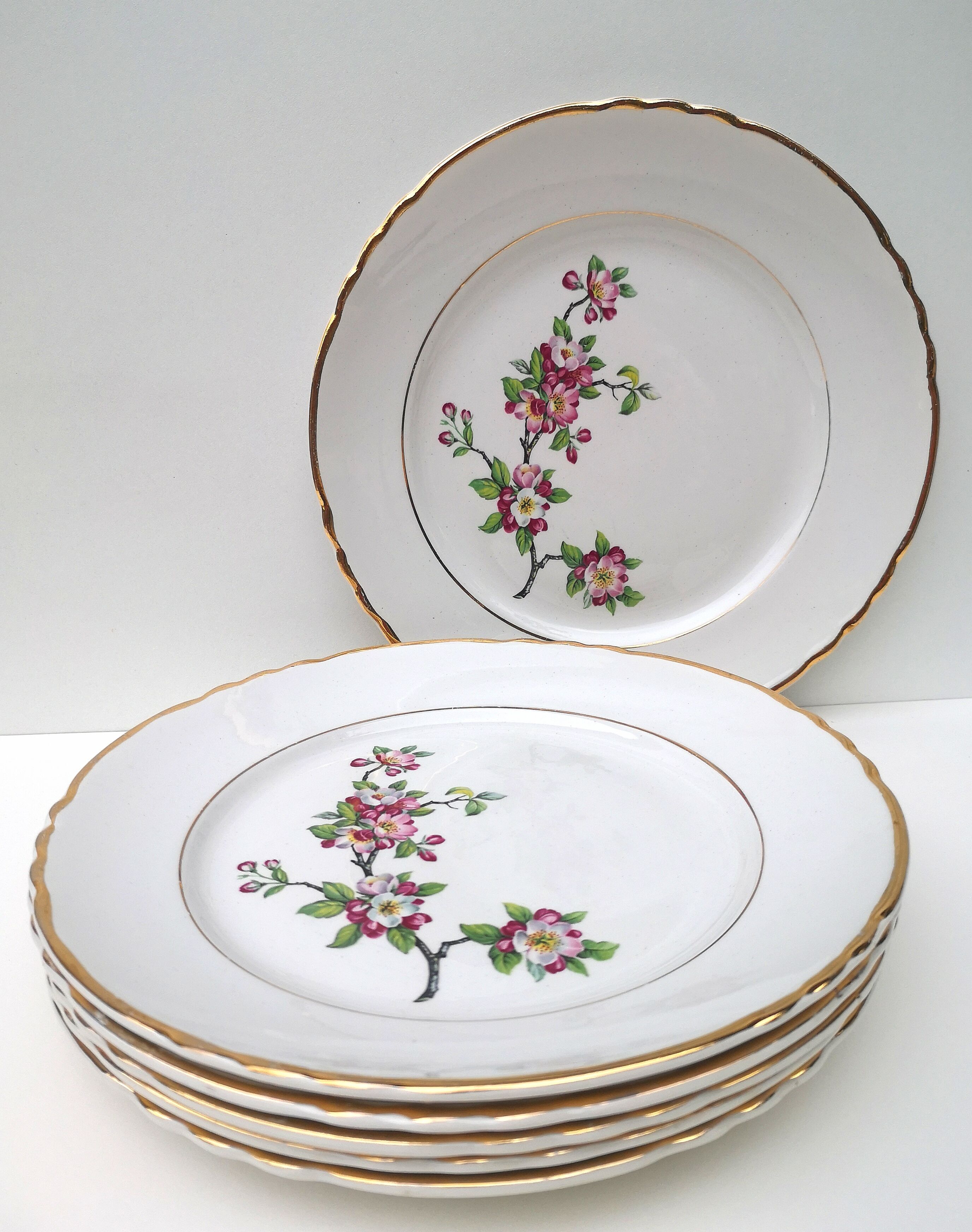 Lot de 6 assiettes plates beiges à fleurs roses Moulin des Loups année – Mushroom Studio