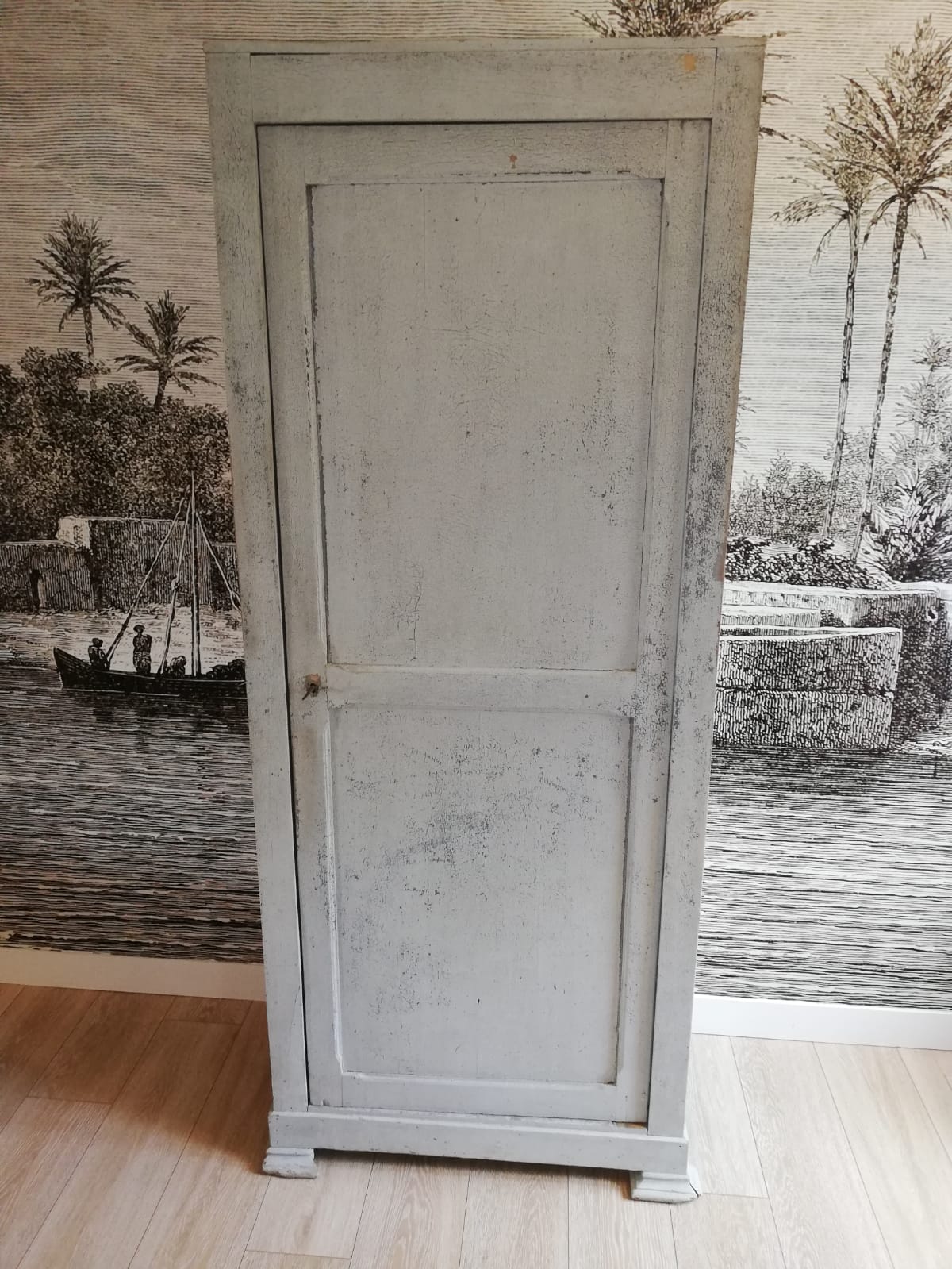 Old Parisian wardrobe 19th century