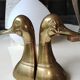 Zoomorphic bookends duck head, in solid brass, vintage 60s/70s