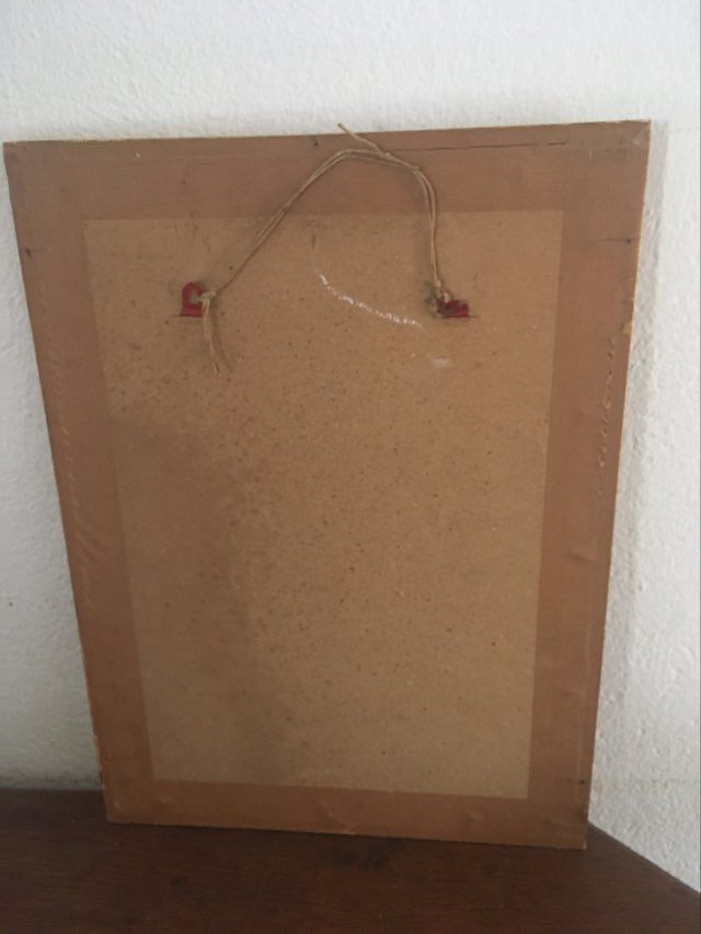 Ornithological board "The Giant Touraco" by Barrabant.