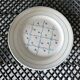 Lunéville dessert plates, flowers, Fontainebleau decor