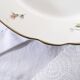 Set of 6 flat plates, Condé de Digoin Sarreguemines model.