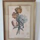 Gravure botanique XIX siècle bouquet de fleurs encadrement parisien