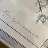 Lithographic frame Nightingale of Japan.