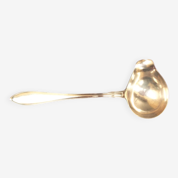 Silver metal sauce spoon