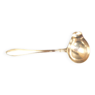 Silver metal sauce spoon