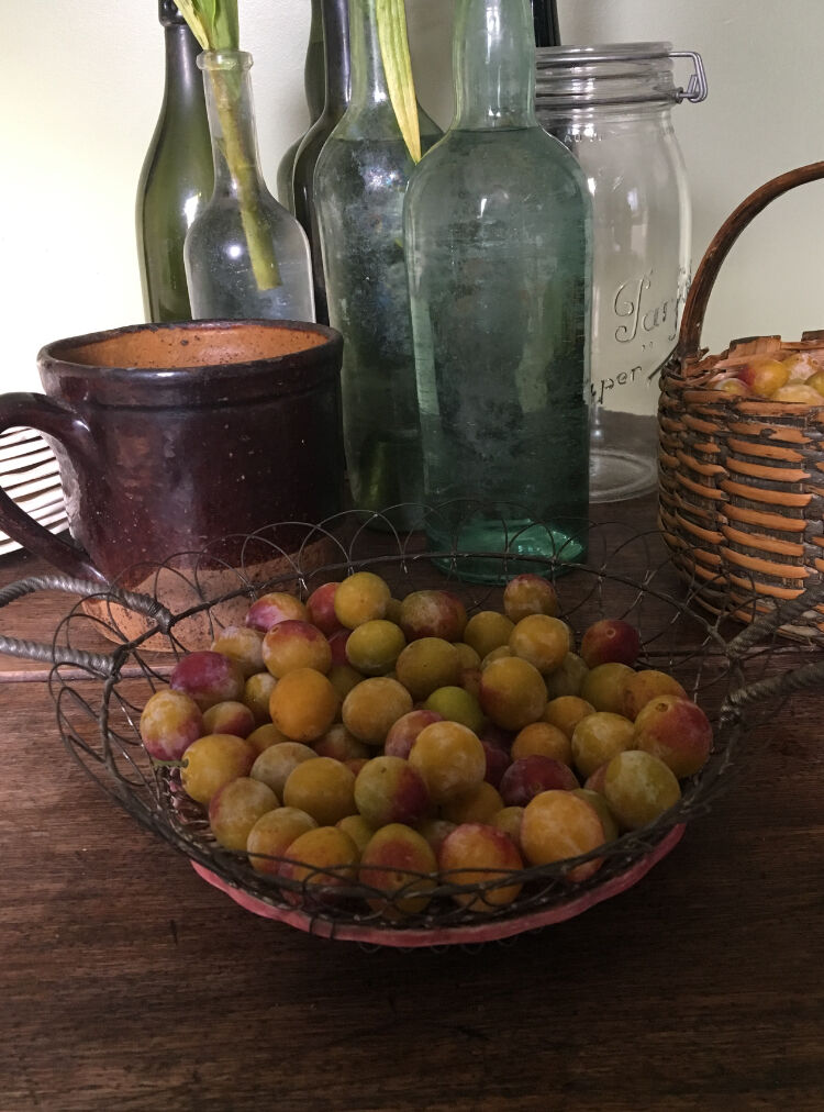 Dish in barbotine late 19th century
