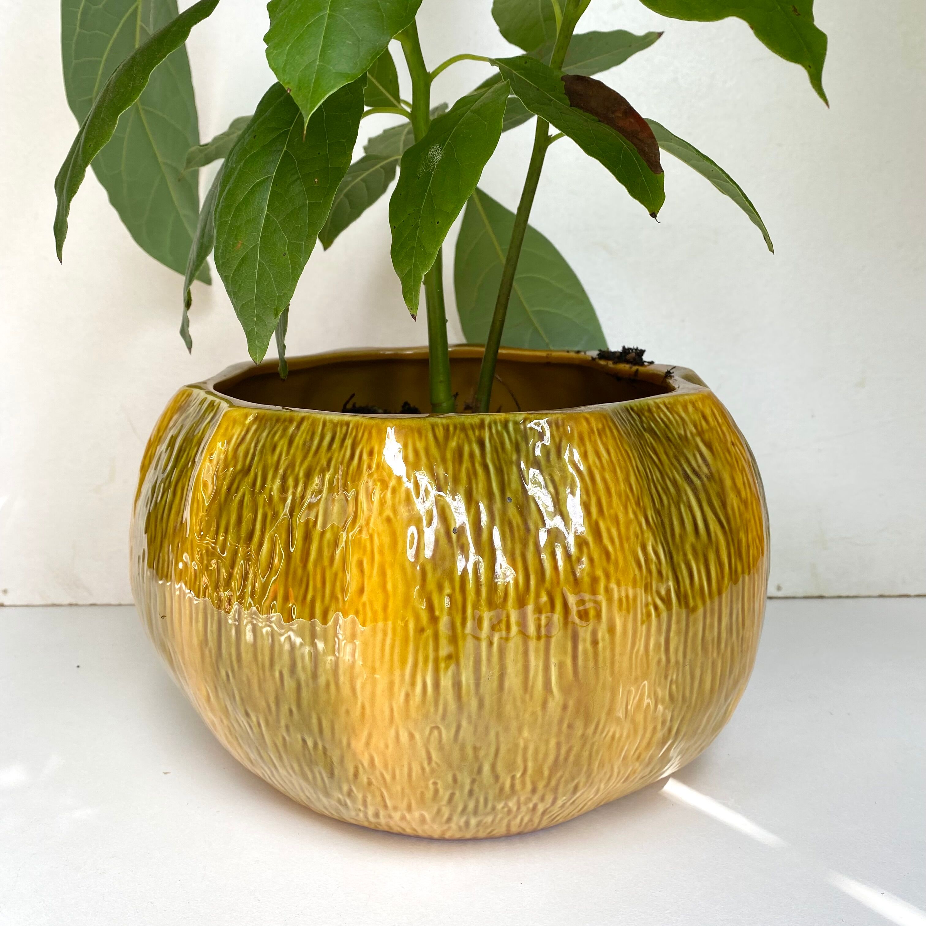Ceramic pot cover