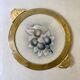 Art Nouveau plate in earthenware with a brass frame