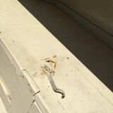 Old rustic farmhouse cabinet in fruit wood