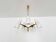 Austrian Brass Chandelier by Rupert Nikoll