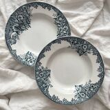 2 deep ironware plates “Narcissus” St Amand