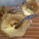 Anciennes appliques en bronze et cristal