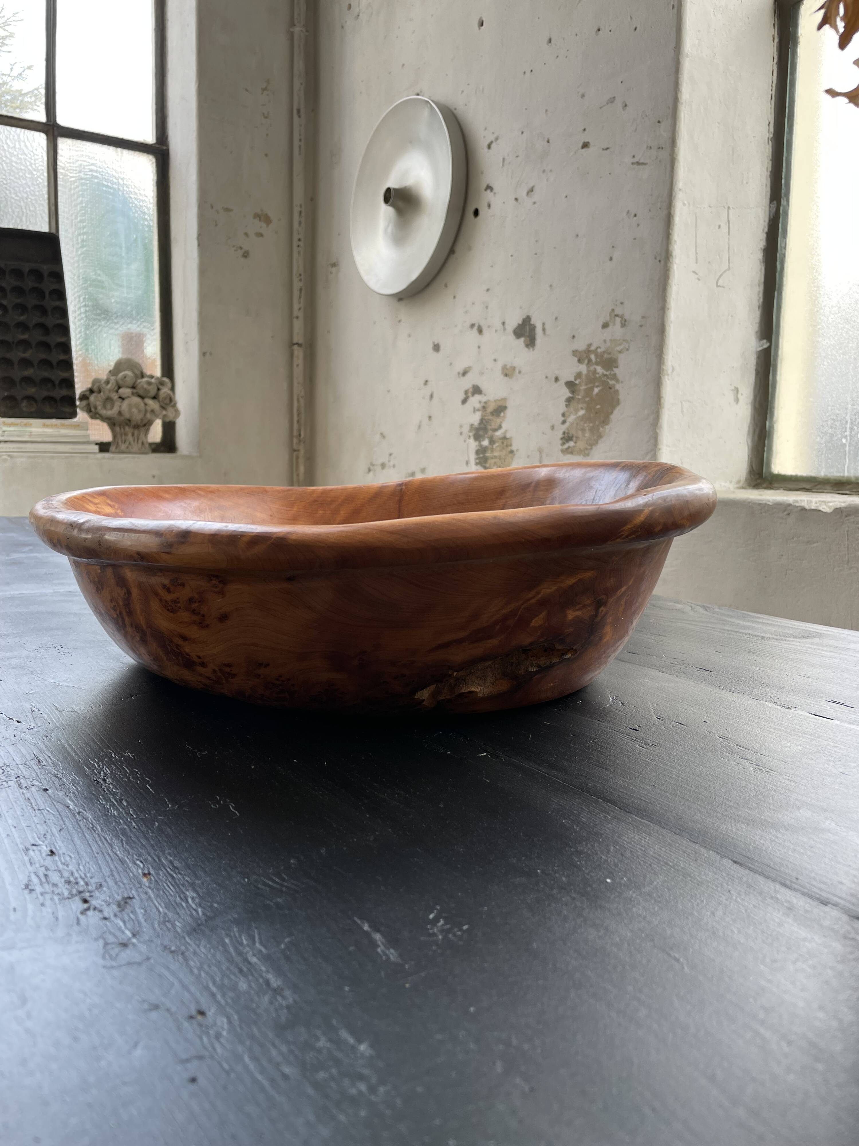 XL thuja root wooden dish