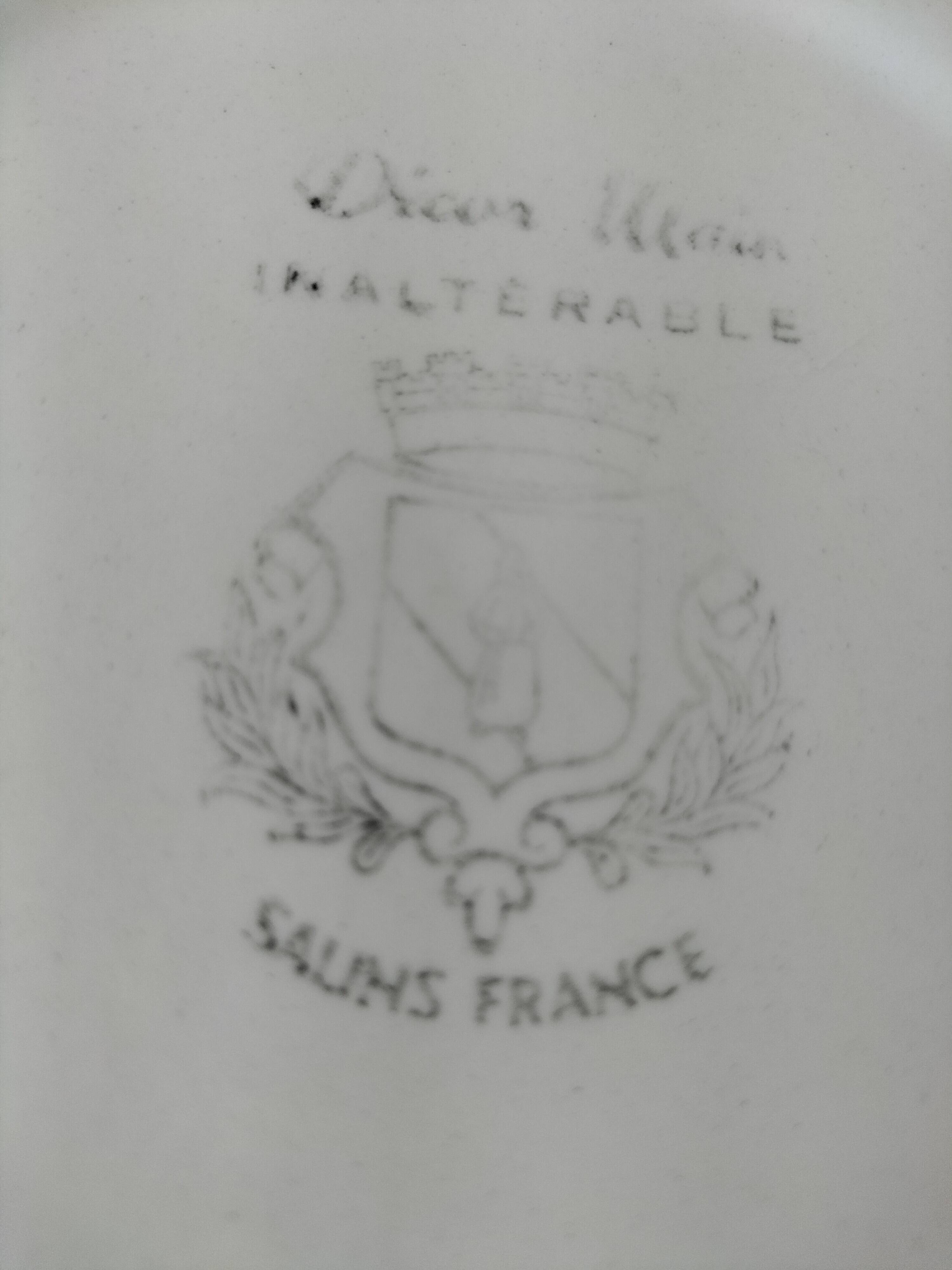 Vintage Salins plate