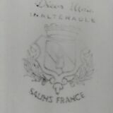 Vintage Salins plate
