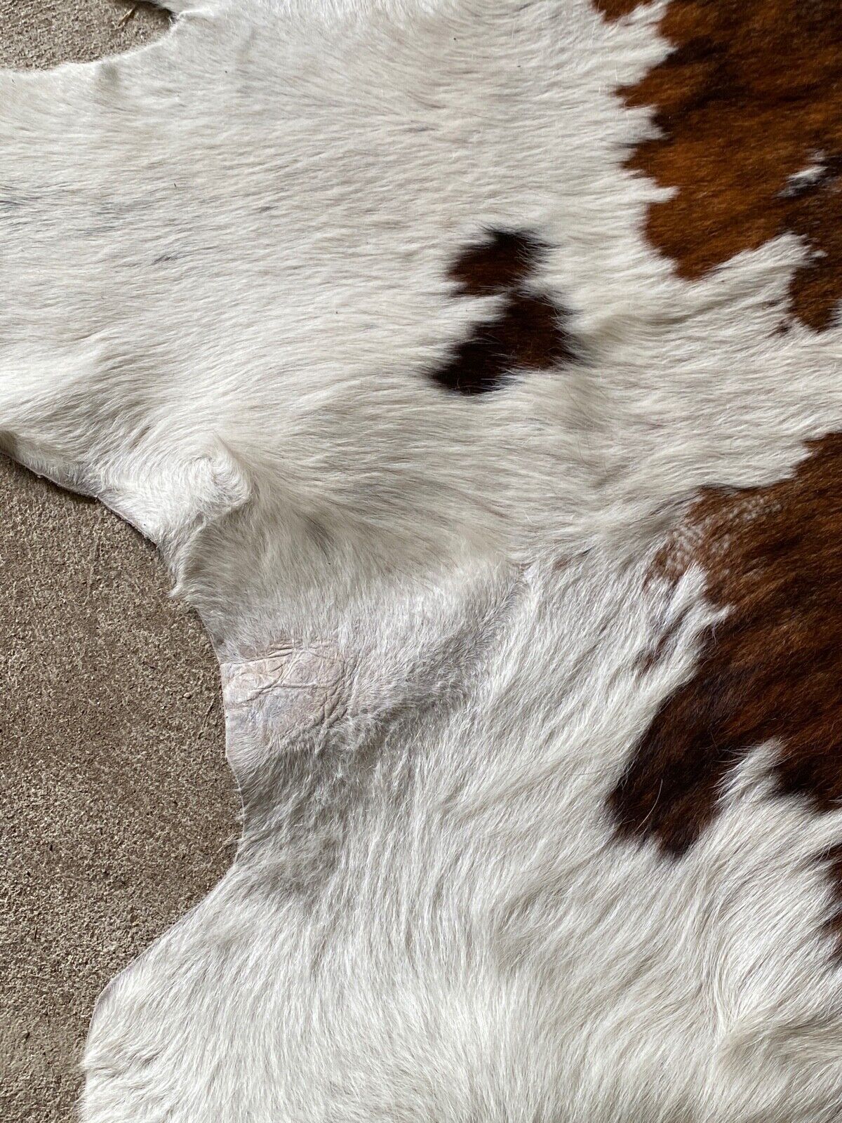Cowhide carpet white and brown 1970 230 x 219