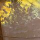 Canvas painting with a knife.